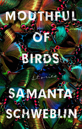 cover of mouthful of birds by samata schweblin